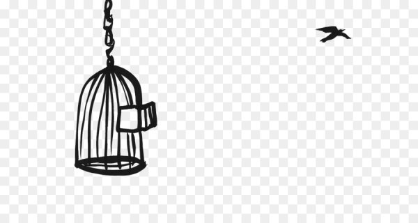 Клетка для птиц на белом фоне