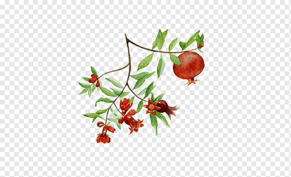 Наклейка шиповник