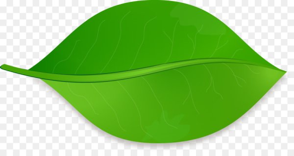 Листики для детей