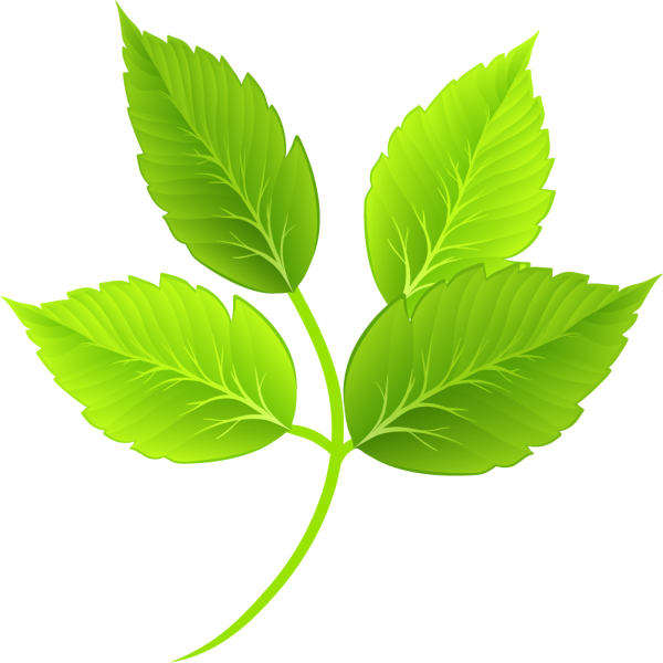 Векторные листочки
