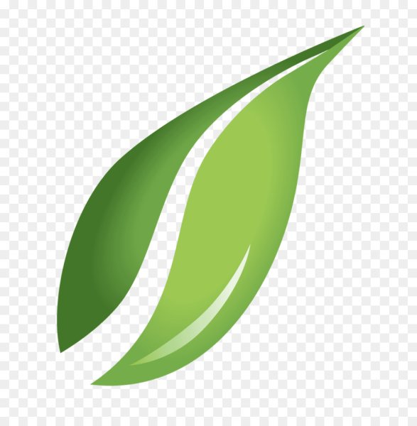 Листья вектор