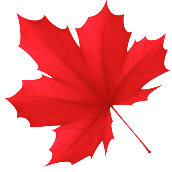 Осенний кленовый лист