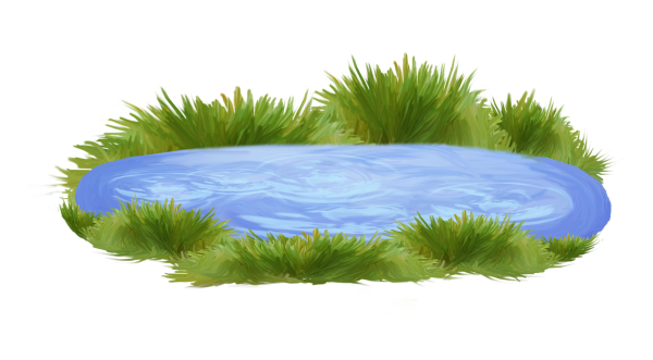 Пруд на белом фоне