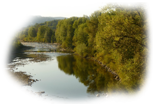Речка на прозрачном фоне