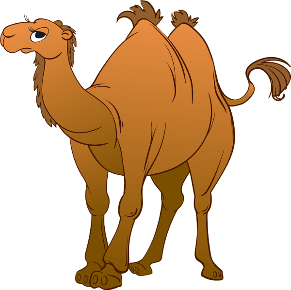 Верблюд мультяшный