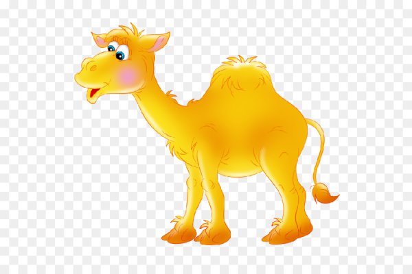 Верблюд пиктограмма