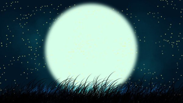 Ночное небо вектор