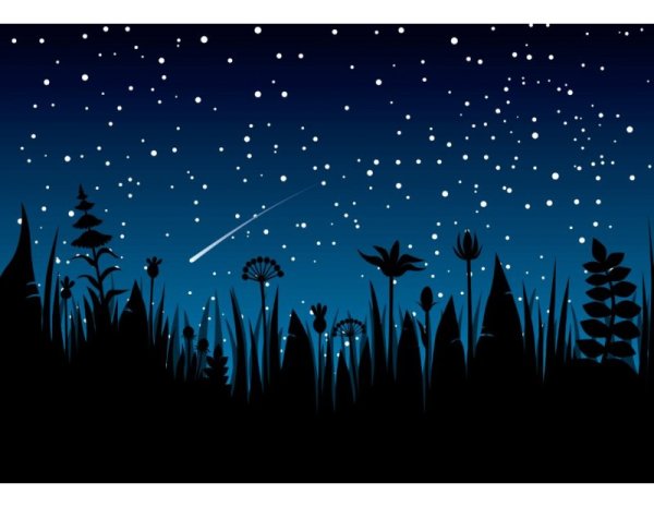 Ночное небо вектор