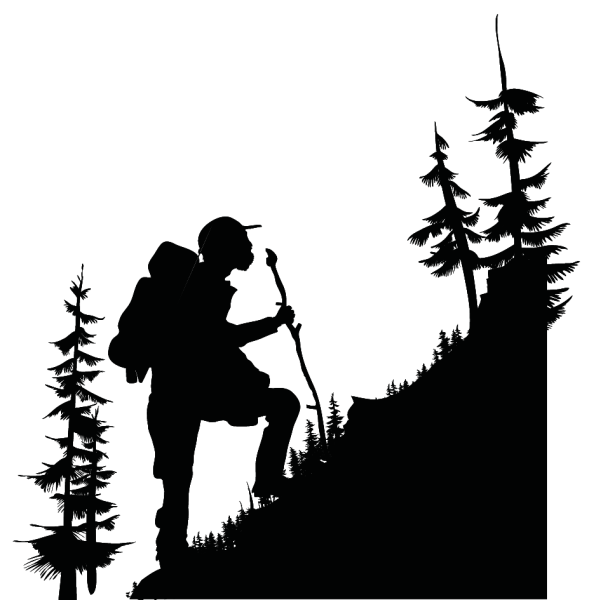 Дети туристы