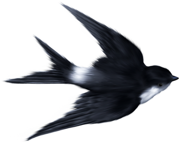 Ласточка силуэт
