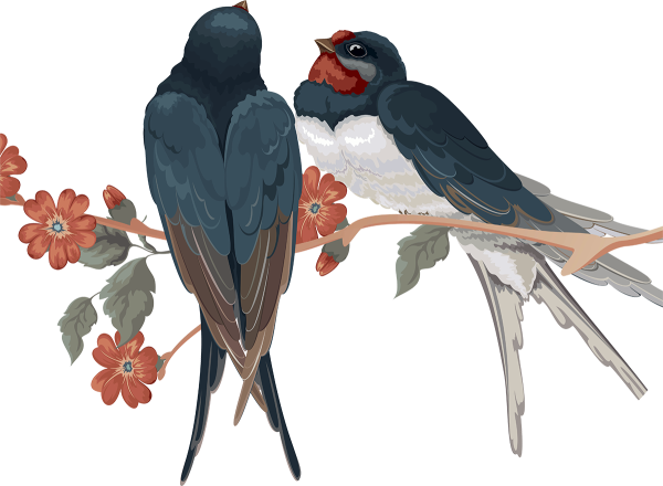 Весенние птицы для детей