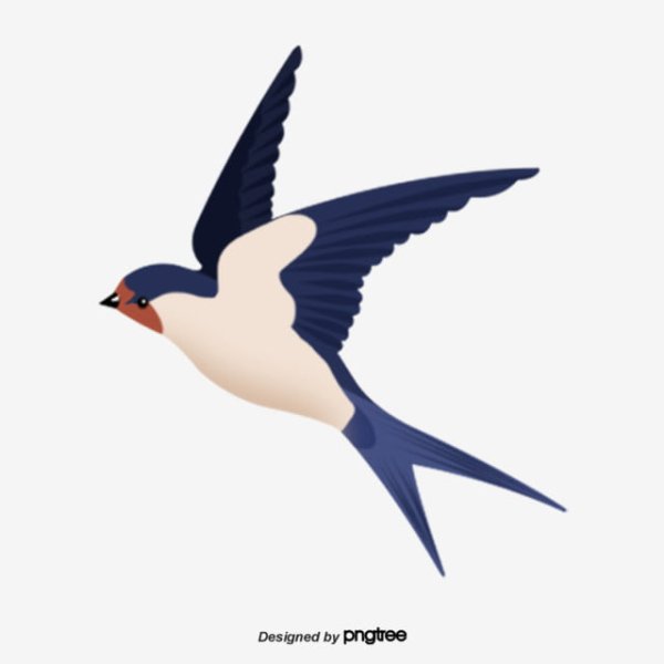 Ласточка вектор