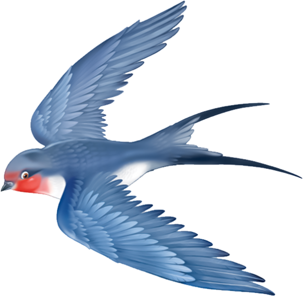 Ласточки мультяшные