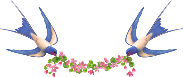 Рамка с ласточками