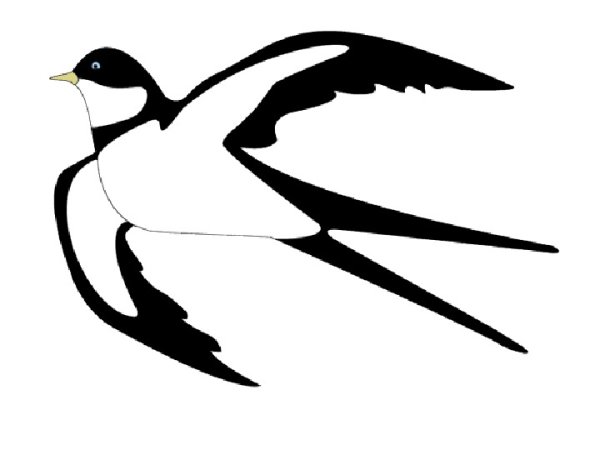 Ласточка раскраска