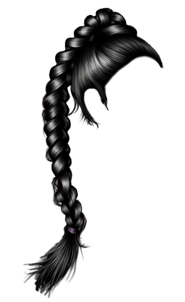 Коса силуэт