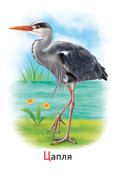 Журавли мультяшные