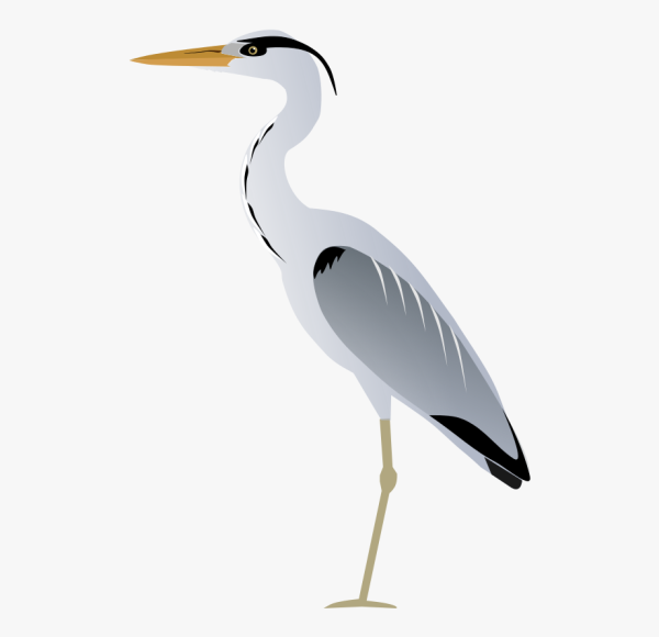 Цапля без фона