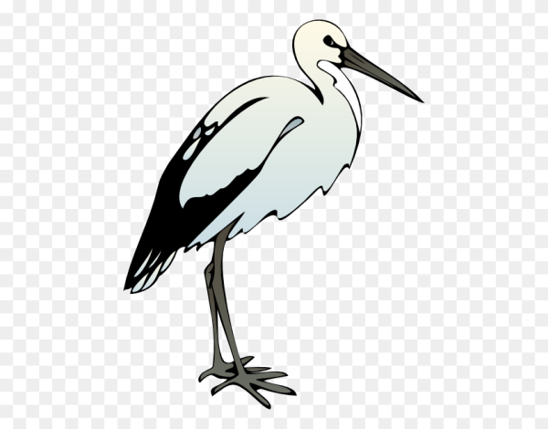 Цапля для детей