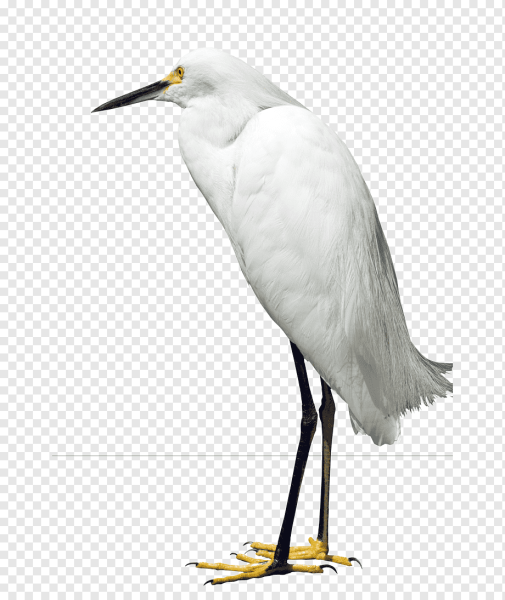 Цапля мультяшка