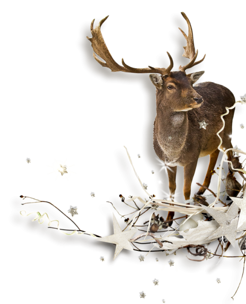 Северный олень новогодний