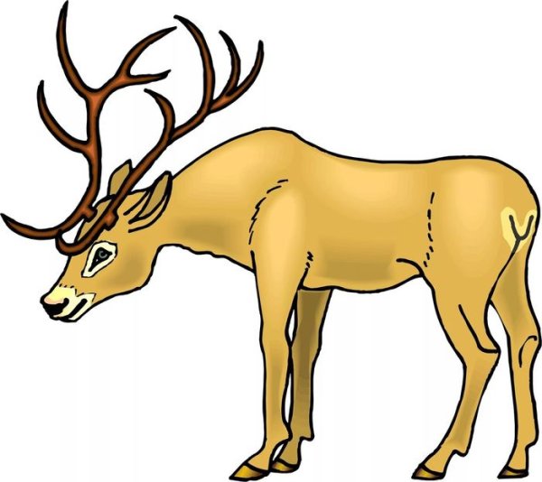 Олень рисунок для детей