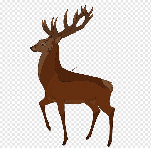 Изображение оленя