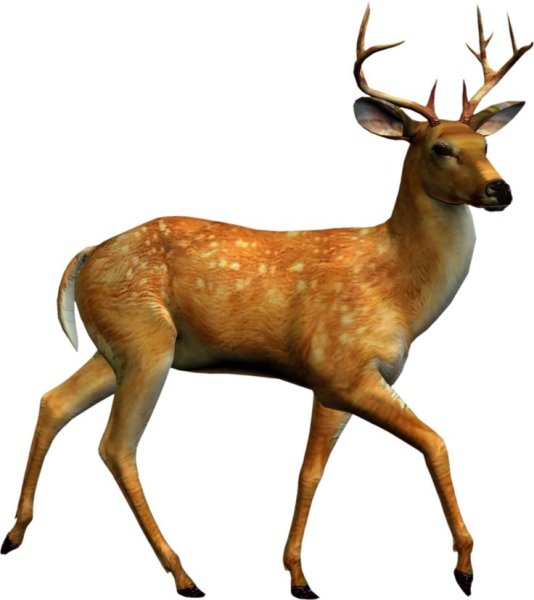 Пятнистый олень на белом фоне