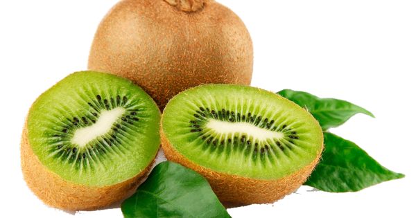 Киви на белом фоне