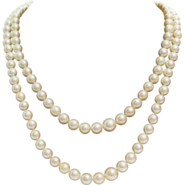 Бусы жемчуг на прозрачном фоне