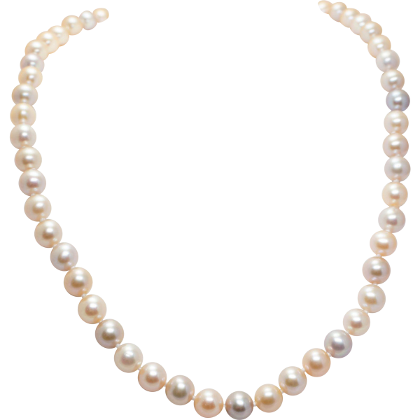 Бусы из жемчуга на прозрачном фоне