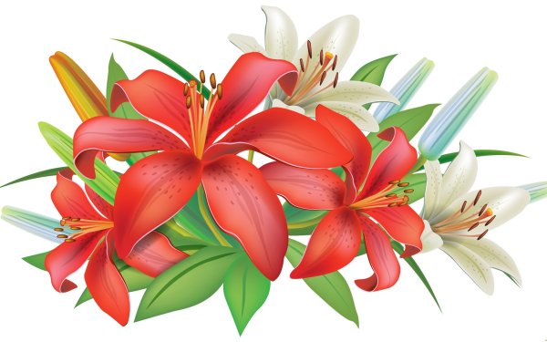 Цветы на прозрачном фоне