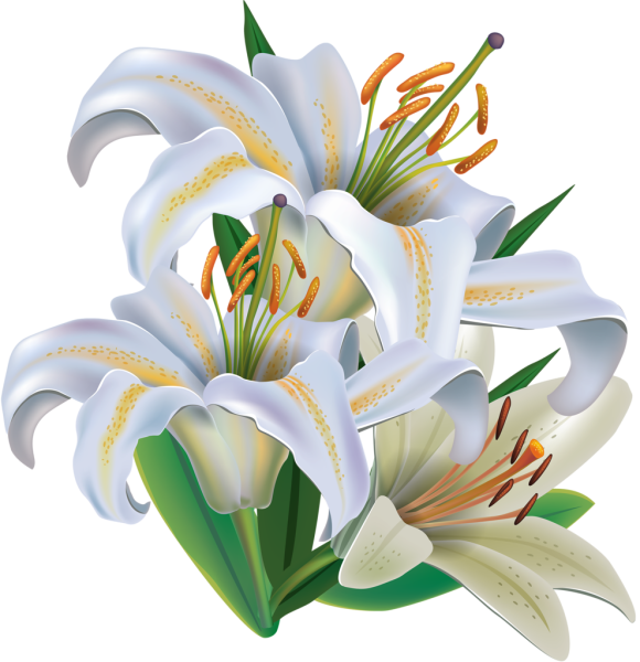 Лилия стикер