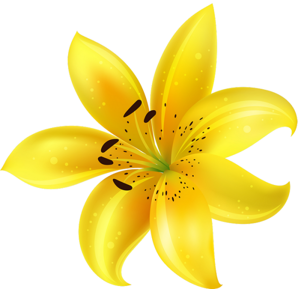 Лилии на прозрачном фоне