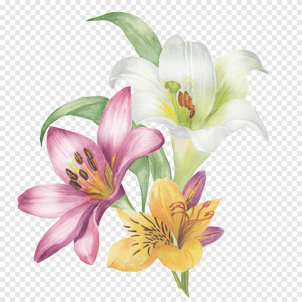 Мультяшный букет лилий