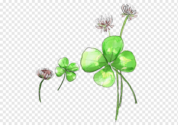 Четырехлистный Клевер Shamrock