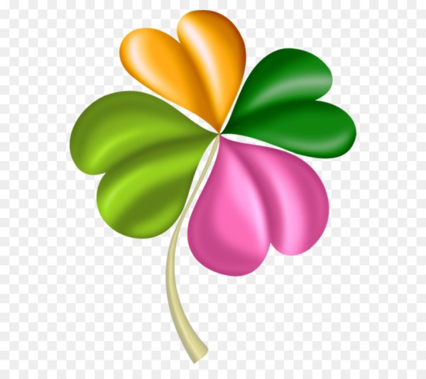 Клевер на прозрачном фоне