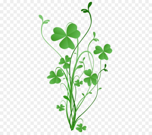 Четырёхлистный Клевер листочки