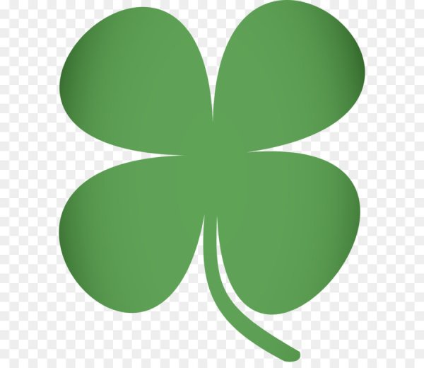 Клевер красный Луговой на белом фоне