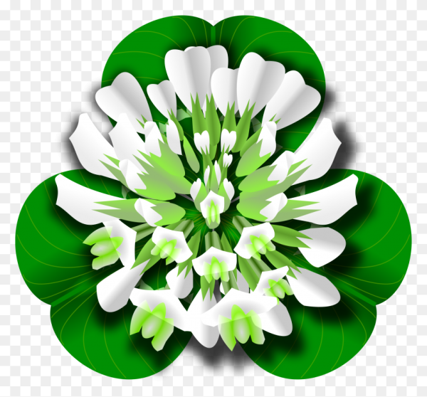 Клевер три листа