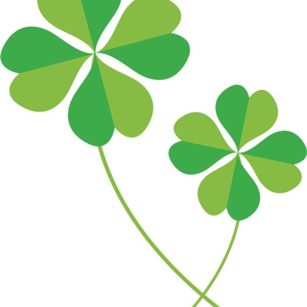 Зеленый Клевер четырехлистный