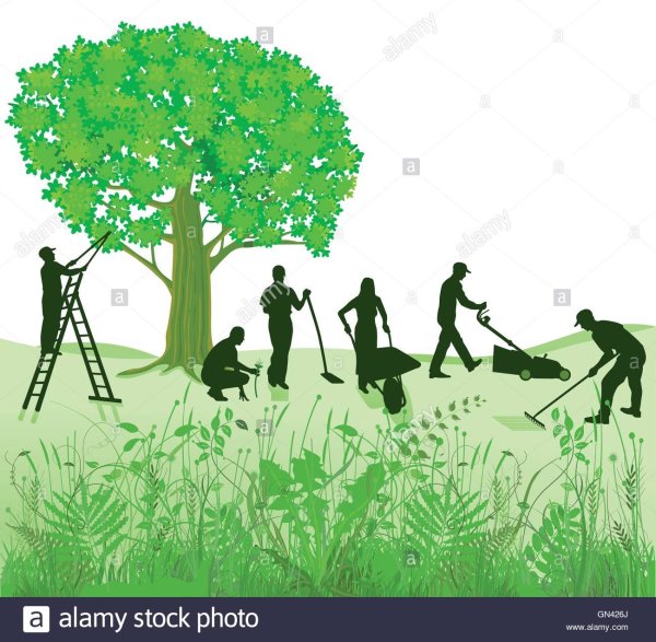 Субботник без фона