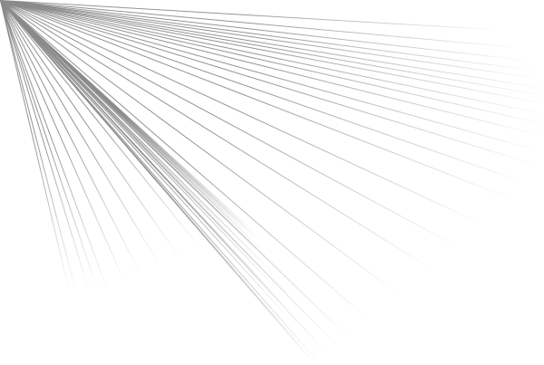 Векторные линии