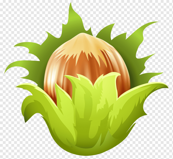 Орех мультяшный