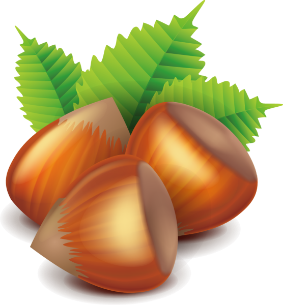 Орех мультяшный