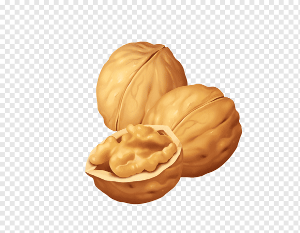 Орех лещина