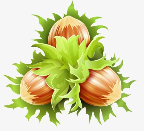 Пекс орех грецкий