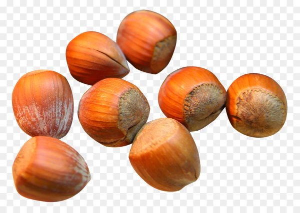 Желудь мультяшный