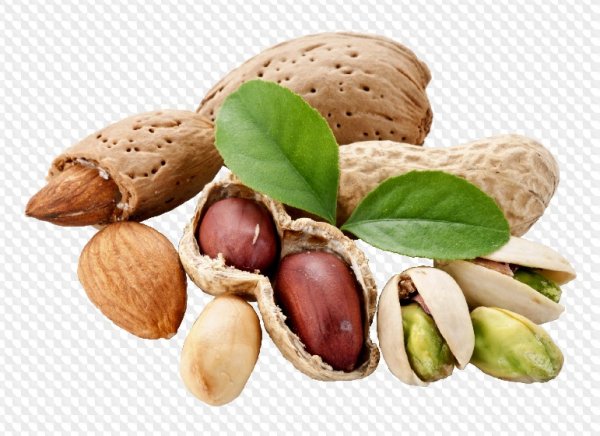 Лесные орешки