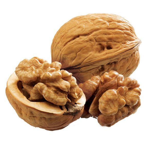 Орехи и сухофрукты на белом фоне